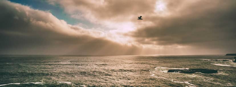 Unauth title mkDHmTex